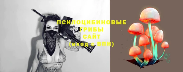 СК Пестово