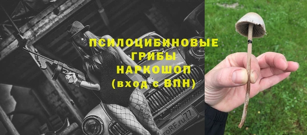 СК Пестово
