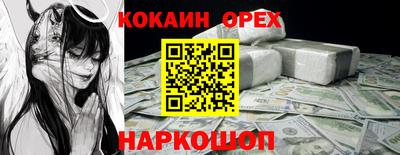 шишки Заволжье