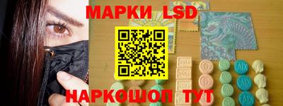 шишки Заволжье