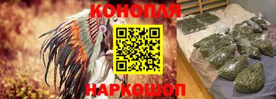 шишки Заволжье