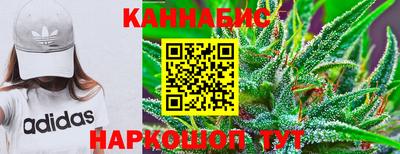шишки Заволжье