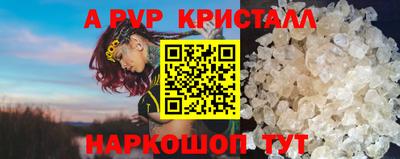 шишки Заволжье