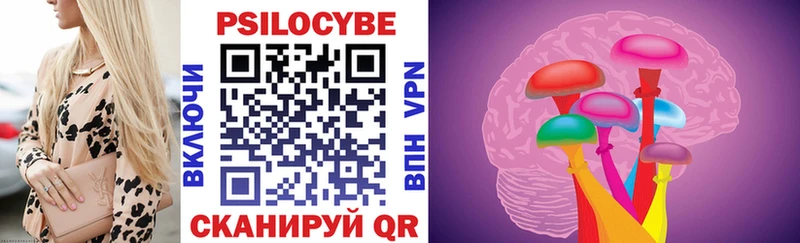 цена MEGA вход Псилоцибиновые грибы ЛСД Псков